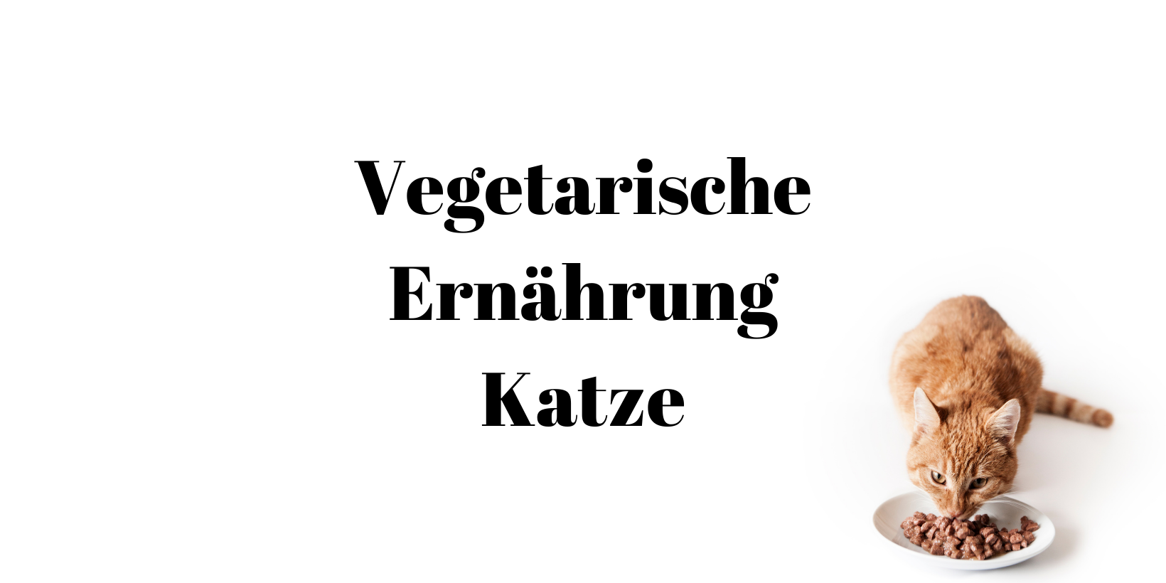32 Vegetarische Ernährung Katze