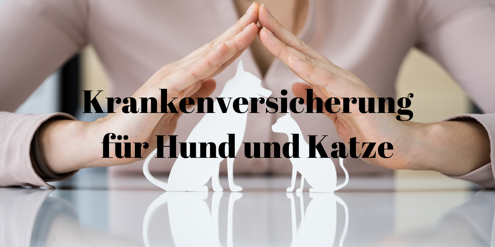 37 Tierkrankenversicherung