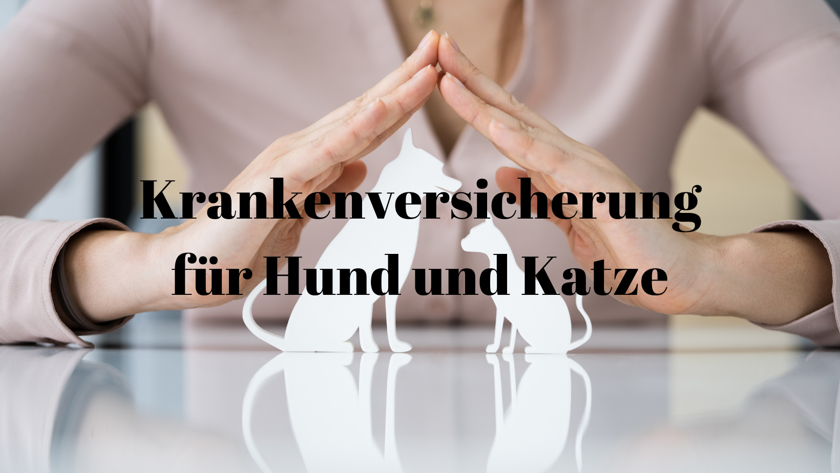 Tierkrankenversicherung