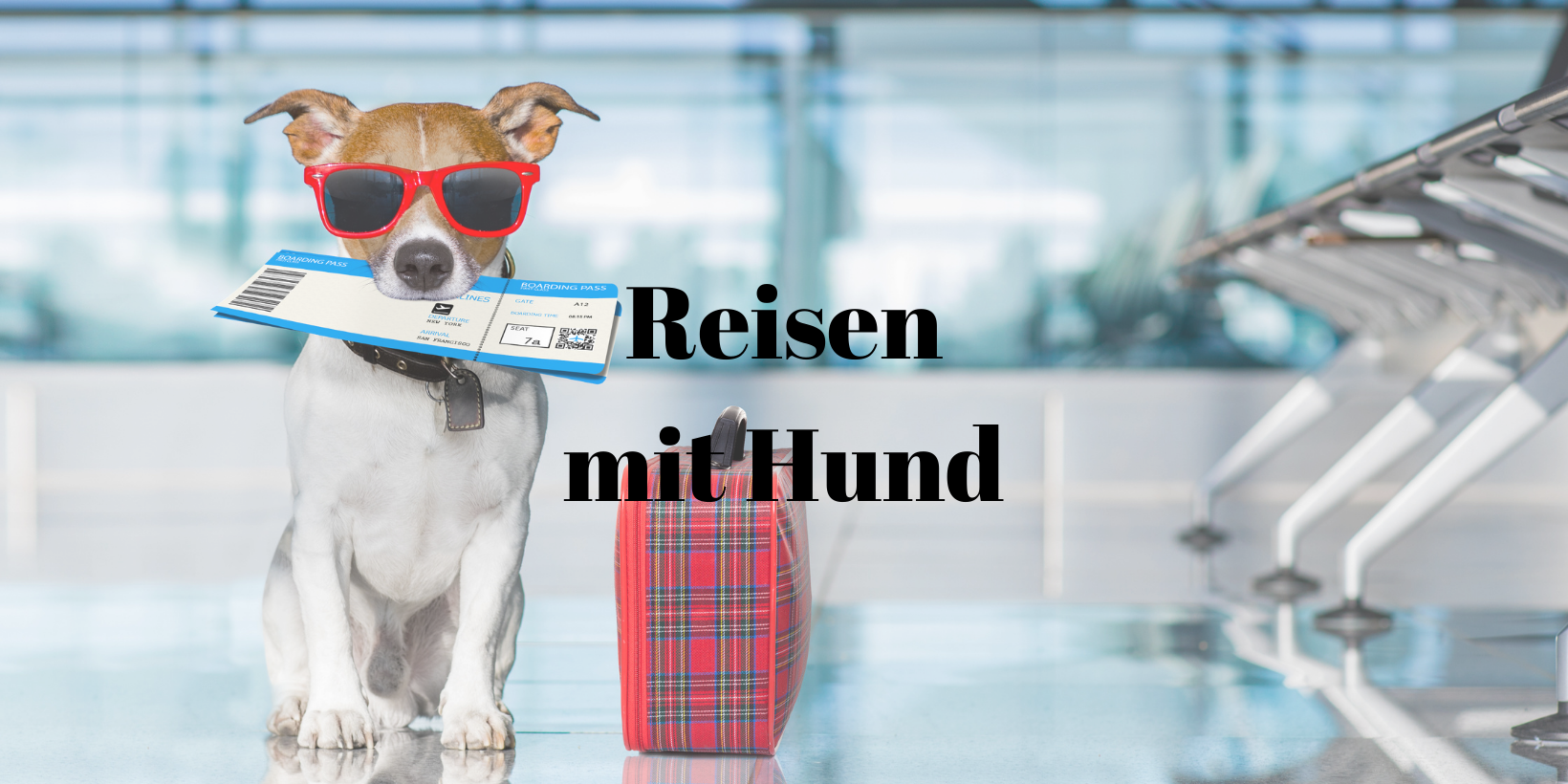 Reisen mit Hund