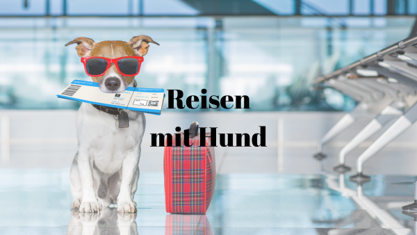 49 Reisen mit Hund