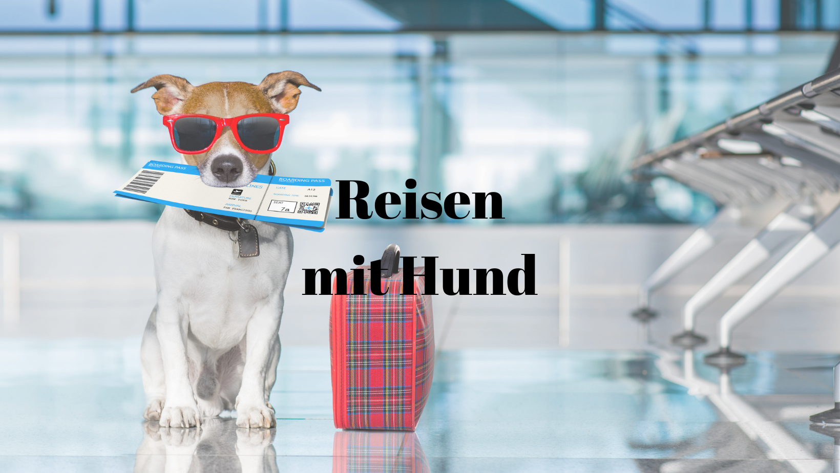 Reisen mit Hund