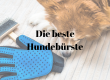 Beste Hundebürste