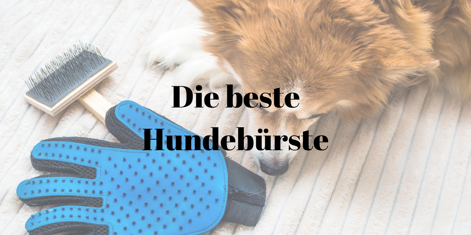 62 Beste Hundebürste