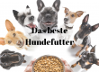 Bestes Hundefutter