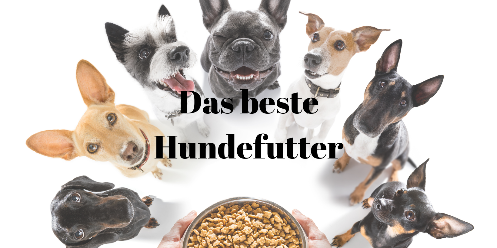 69 Bestes Hundefutter