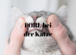 FORL Katze