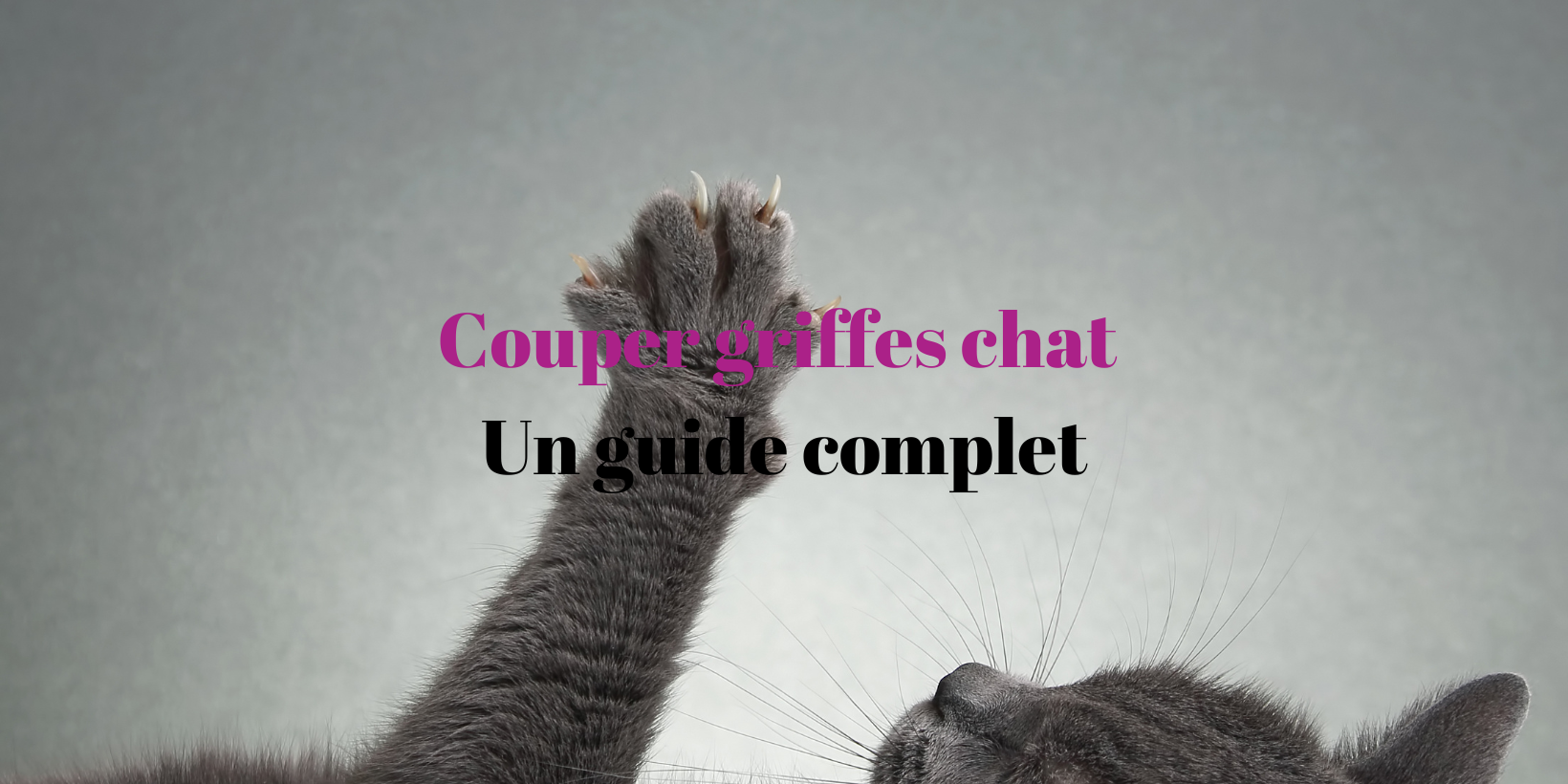 couper griffes chat