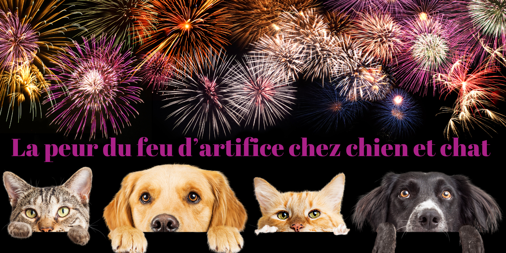 20 peur du feu d'artifice