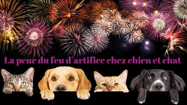 peur du feu d'artifice