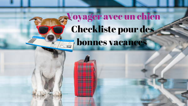 Voyager avec un chien