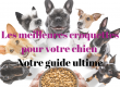 Meilleures croquettes pour chiens