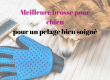 Meilleur brosse pour chien