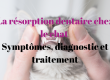 la résorption dentaire