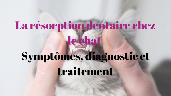 la résorption dentaire